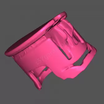 Hyundai Bayon Tavan Çıtası Tapası resim 3