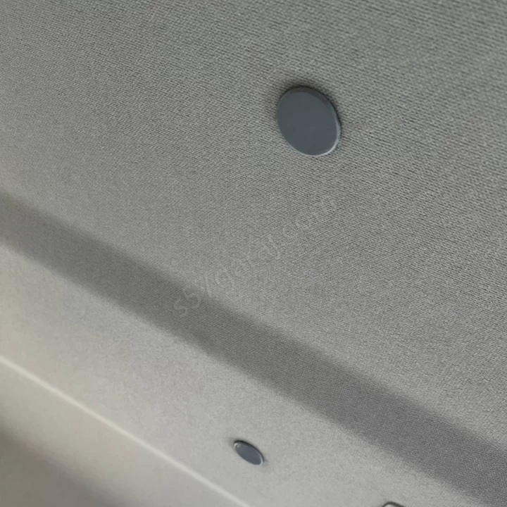 Renault Kango Tavan Vidası Kapağı