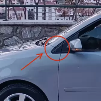 Volkswagen Polo Ayna Üçgeni resim1