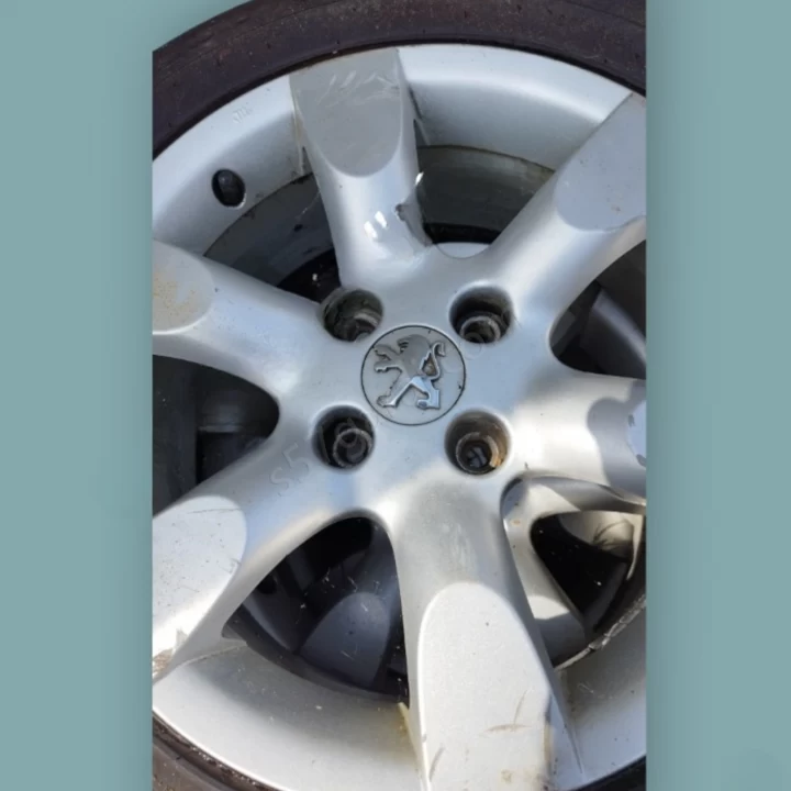 Peugeot 307 Jant Göbekleri 4 Adet